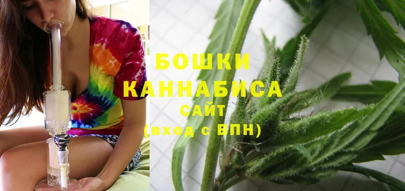 наркотики  omg ссылки  Каннабис SATIVA & INDICA  Мурино 